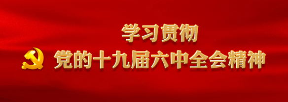 學(xué)習(xí)貫徹黨的十九屆六中全會精神